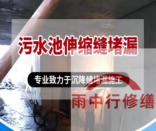 深圳2026年高分子防水卷材成高端市场主流，光伏屋面需求爆发